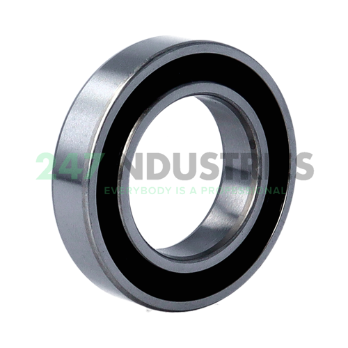 6008 2RS FSY Image 2