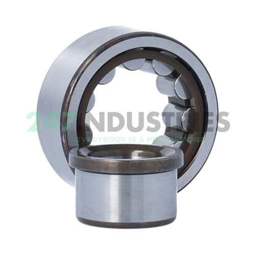 NJ2204ECP/VB021 SKF Image 2