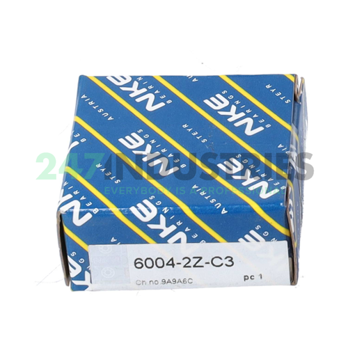 6004 2Z C3 NKE Image 3