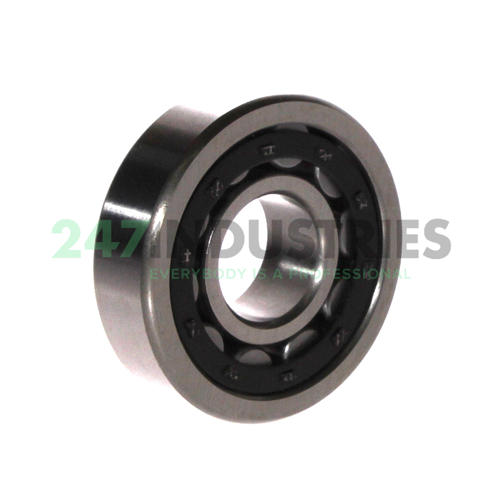 NU304E C3 FBJ Image 2