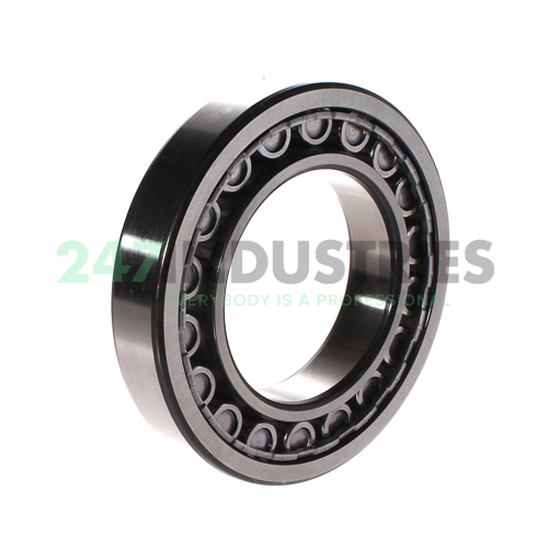 NU216ECJ SKF Image 2