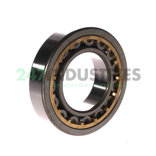 NU209E G1 NTN Image 2