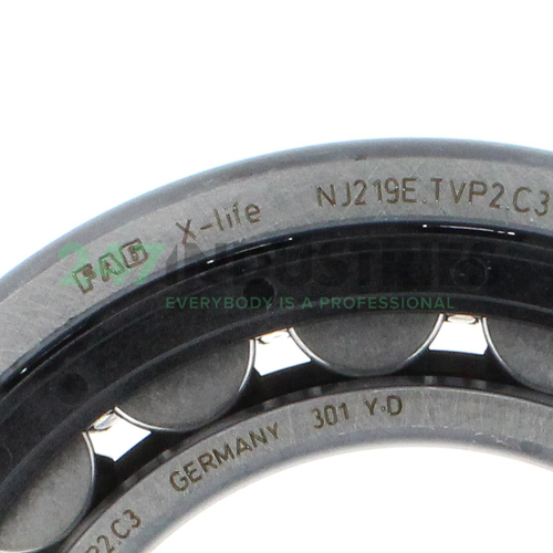 NJ219E.TVP2.C3 FAG Image 4