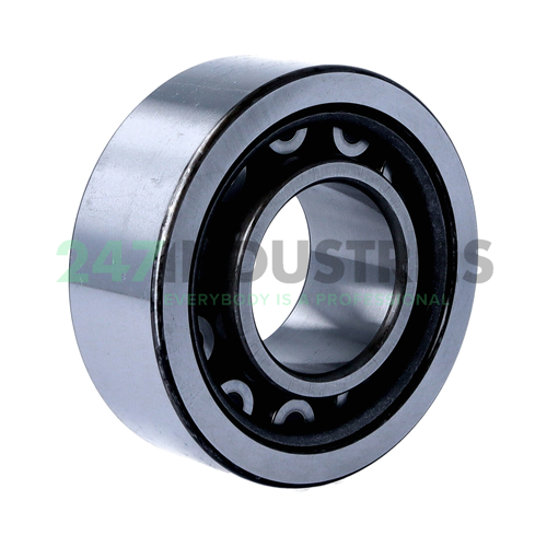 NU2309WC3 NSK Image 2