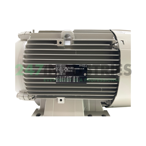 1LE1004-1CA13-4AA4 Siemens Image 4