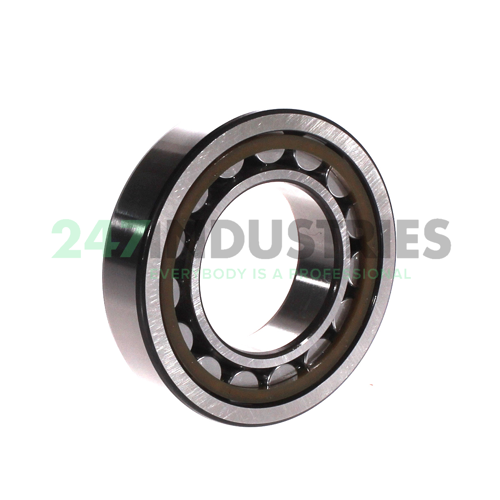 NJ209ECP/C4 SKF Image 2