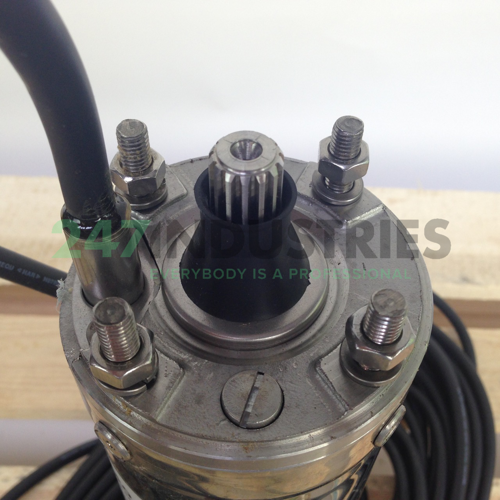 61503385 Sumoto Image 3