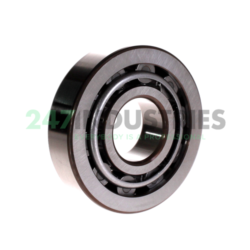 NU409 SKF Image 2