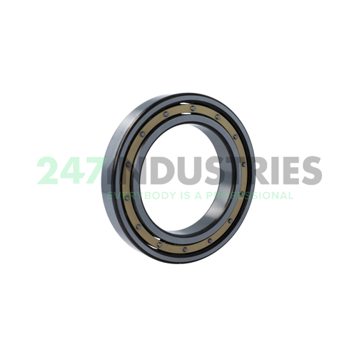 6022M/C4 SKF Image 2