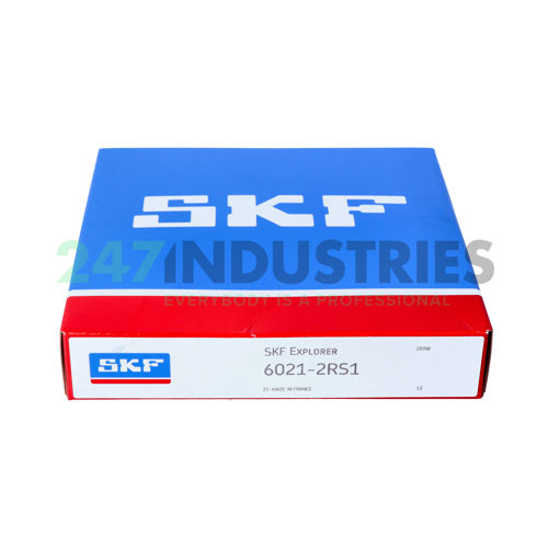 6021-2RS1 SKF Image 3