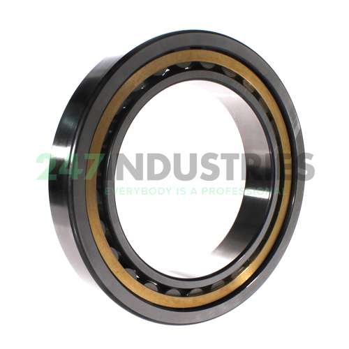 NU1032-XL-M1-C3 FAG Image 2