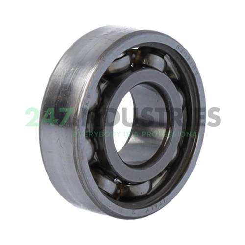 6203/P5 SKF
