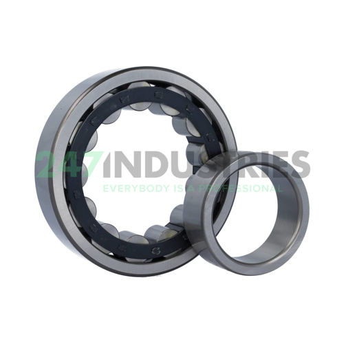 NU318E Neutral Image 2