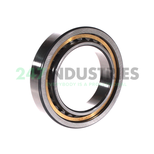 NU1012-XL-M1 FAG Image 2