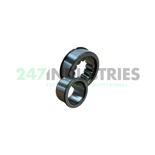 NJG2309NRVH/C5VB027 SKF Image 4