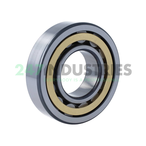 NU310-E-XL-M1-C4 FAG Image 2