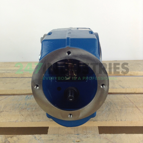 C06-020C David Brown Image 5