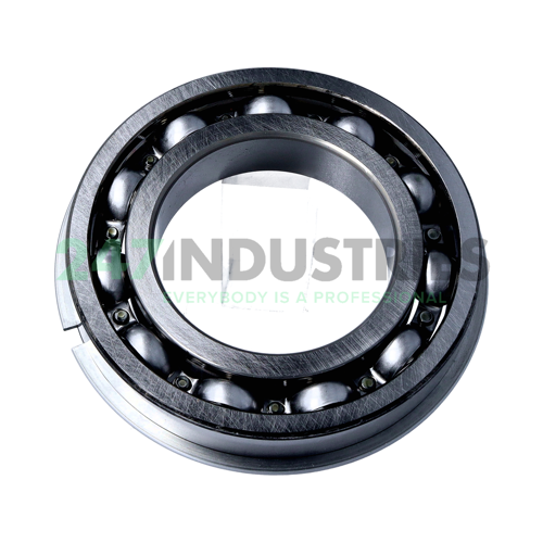 6215NR C3 NSK Image 2