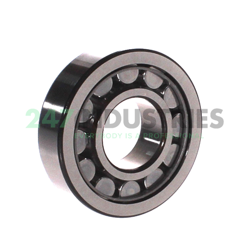 NU306ECJ/C3 SKF Image 2