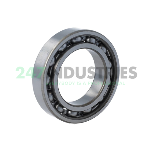 6009/C2 SKF Image 2