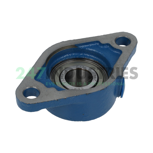 ESFLE204 SNR Image 2