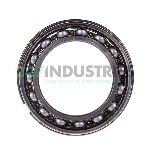 6013NR SKF Image 2