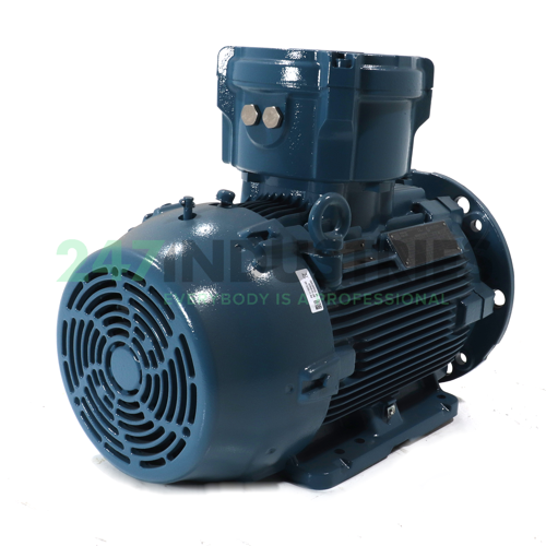 11K32CI2160ML2B352G WEG Image 3