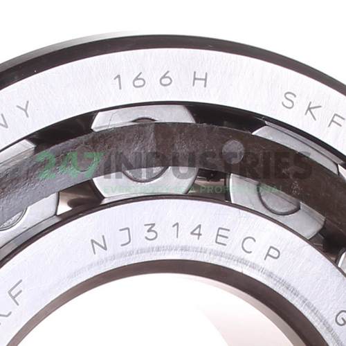 NJ314ECP SKF Image 2