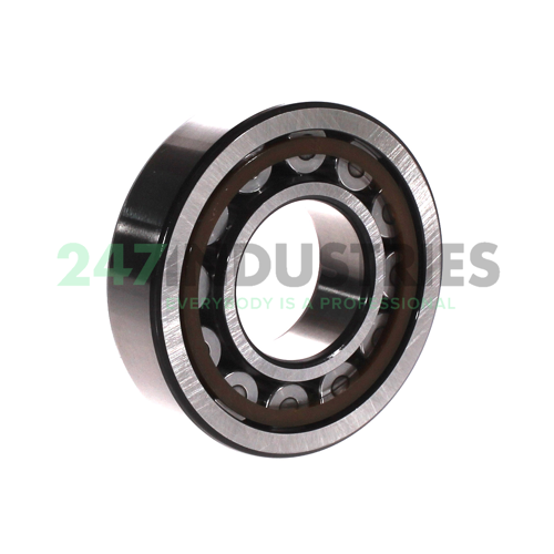 NJ308ECP/C4 SKF Image 2