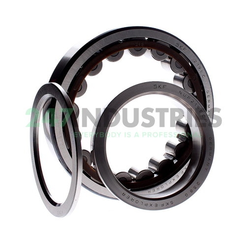 NUP219ECP SKF Image 2