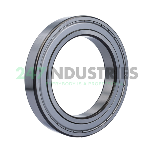6024-2Z SKF