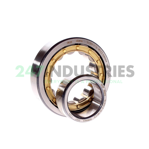 NU309-E-XL-M1-C3 FAG Image 2