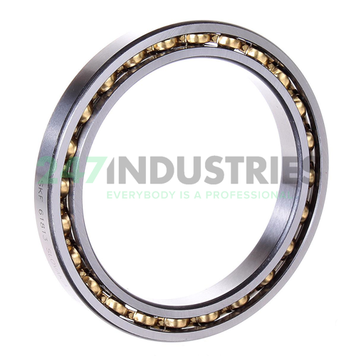 61813 SKF
