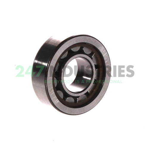 NU202ECP/C3 SKF Image 2