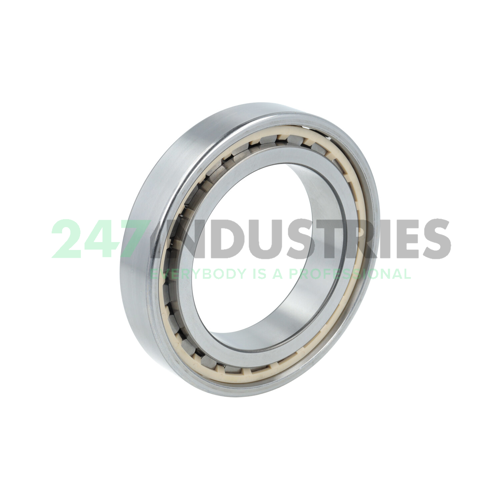 N1014-D-K-PVPA1-SP-XL FAG