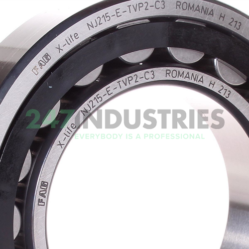 NJ215E.TVP2.C3 FAG Image 2