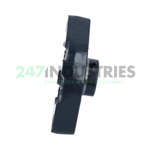 GLCTEY20 INA Image 3