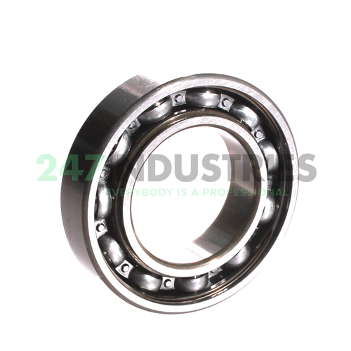 6007DUCM NSK Image 2