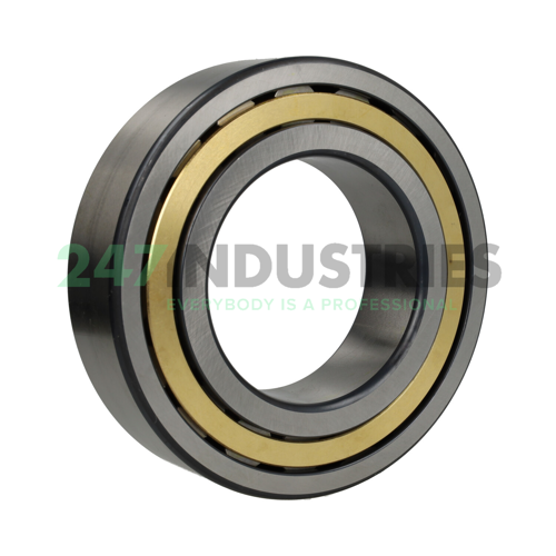 NJ2220-E-XL-M1-C3 FAG Image 2