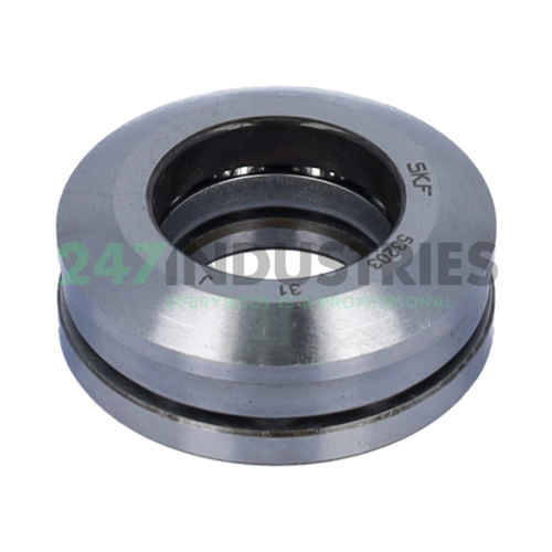 53203 SKF