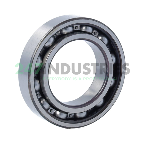 6008-RS1 SKF Image 2