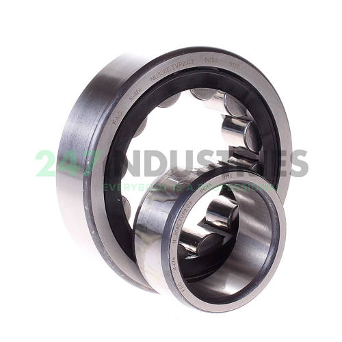 NU308E.TVP2.C3 FAG Image 2