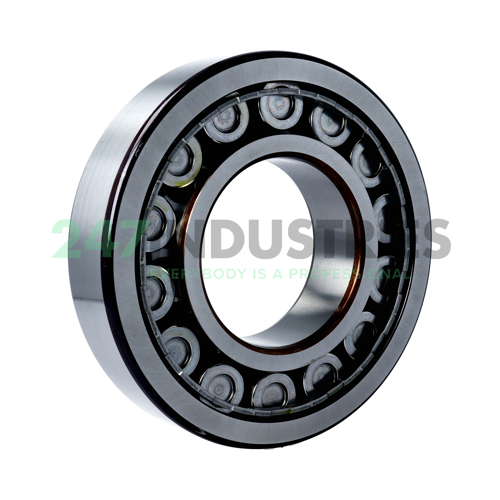 NJ319ECJ/C3 SKF Image 2