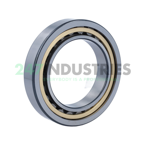 NU1014-XL-M1-C4 FAG Image 2