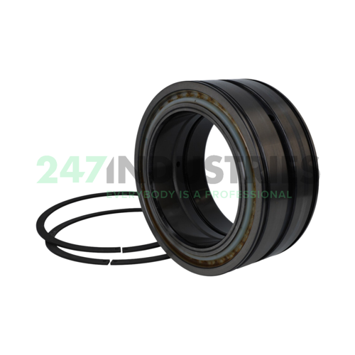 SL04130-D-PP-2NR INA Image 2