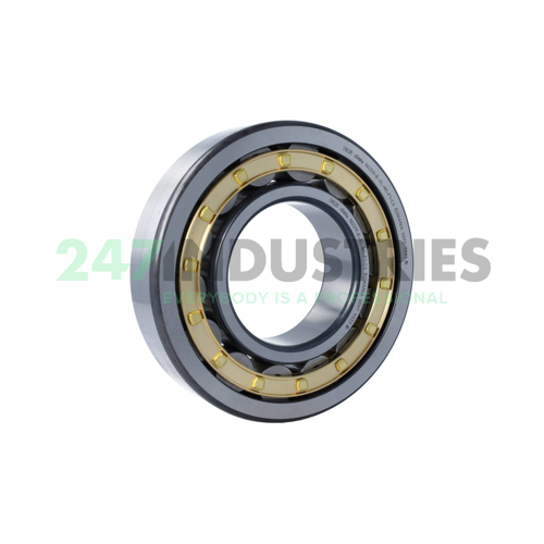 NU319-E-XL-M1-F1-C4 FAG