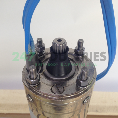 61530330 Sumoto Image 3