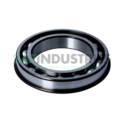 6015NR SKF Image 2