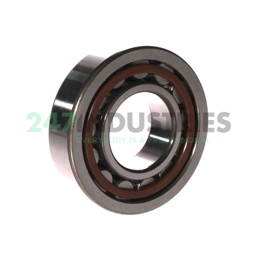 NU309ET2X C3 NTN Image 2