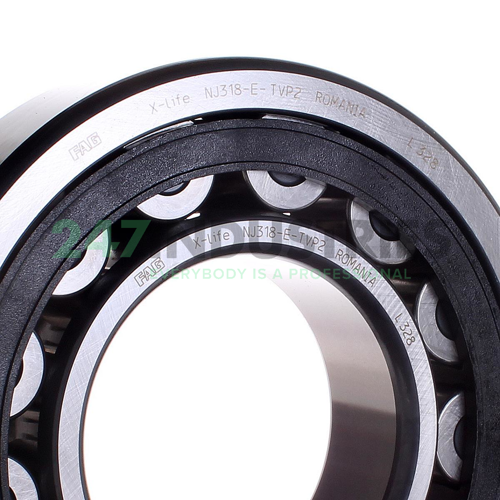 NJ318-E-TVP2 FAG Image 2